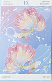 NATURE Individual Postcard- Fungi Butterfly Fish or Jellyfish