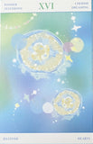 NATURE Individual Postcard- Fungi Butterfly Fish or Jellyfish