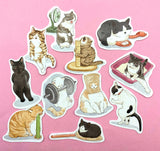 CATS Laptop / Decorative Stickers Set NEW SETS
