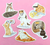 CATS Laptop / Decorative Stickers Set NEW SETS