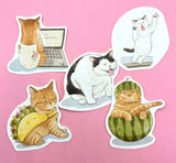 CATS Laptop / Decorative Stickers Set NEW SETS