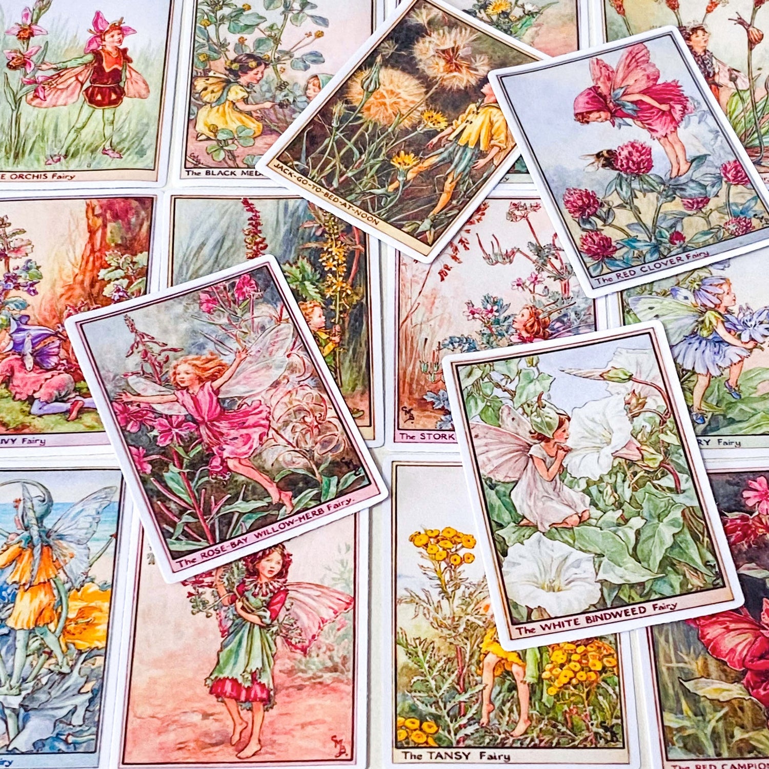 Botanical & Cottage Garden