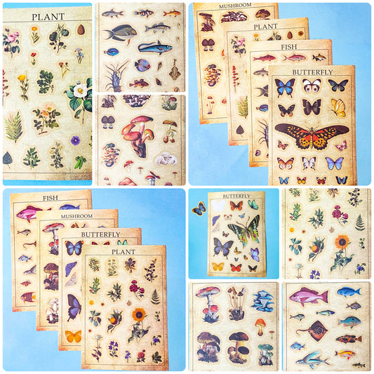 vintage botanical set of 8 plants  butterflies and mushroom matte sticker sheets on a blue background