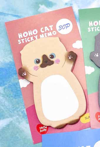 Pocket Money Bargain MEMOS & NOTEBOOKS -Perfect Kawaii Gifts