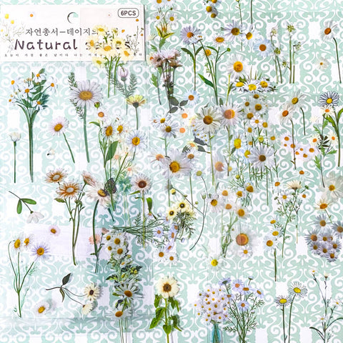 Just 55p! WHITE DAISIES Clear Plastic Sticker Sheet/s – The Kawaii Squirrel