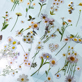 white daisy daisies clear plastic sticker stickers sheet sheets pack uk cute kawaii stationery planner supplies floral flower flowers stationery leaves spring garden cream