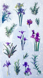 lilac blue purple iris spring summer flower flowers clear plastic sticker stickers pack sheet uk cute kawaii stationery supplies shop planner addict planning green leaf leaves foliage plants