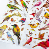 BEAUTIFUL BIRDS GOLD HOLO FOIL Clear Plastic Stickers