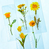 FLORAL Beautiful Plastic Transparent Bookmark -YELLOW FLOWERS