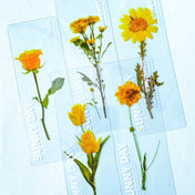 clear book mark bookmark bookmarks plastic yellow daisy tulip tulips sunflower sunflowers rose roses spring flower flowers uk cute kawaii stationery gift gifts shop store
