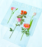 clear book mark bookmark bookmarks plastic pet pink rose roses peony tulip tulips spring flower flowers uk cute kawaii stationery gift gifts shop store