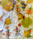 autumn leaf leaves beautiful sticker stickers plastic shiny sparkly holo holographic bottle bottles jar jars uk cute kawaii stationery fairy fairies magic magical fairytale woodland forest pack set planner supplies shop store uk