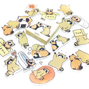raccoon raccoons mini sticker flakes flake box of 45 stickers cute uk kawaii stationery animals animal wild