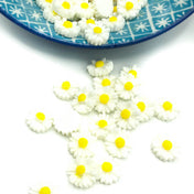 White Daisy Flower Resin Flat Backs 9mm or 11mm