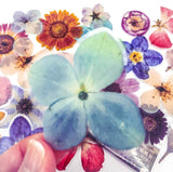 Beautiful Blooms Pack of 40/20 Large, Clear Plastic Stickers