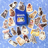 cute kawaii craxy funny cat cats kitten kittens sticker stickers flake flakes mini box of 46 set uk stationery planner supplies dressing up costumes