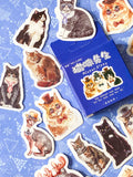 DRESSING UP CATS Sticker Flakes Mini Box of 46/Set 23