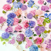 hydrangea hydrangeas clear plastic sticker stickers flake flakes pack pink blue turquoise lilac purple flower flowers floral stationery uk cute kawaii planner supplies