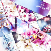 75% OFF Cherry Blossom Card Bookmarks Set of 3