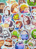 cute kawaii hedgehog hedgehogs laptopp large big decorative sticker stickers glossy uk stationery gift gifts stocking filler fillers colourful set funny pretty bright illustrations woodland animal animals