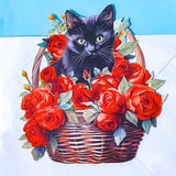 3d pop up card of a black cat sitting in a basket of red roses on a blue background