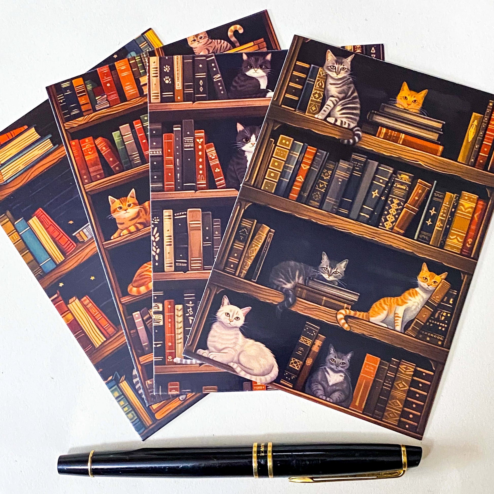 vintage book lover stationery set with cat library postcards