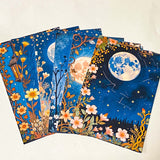 midnight garden scrapbook papers with moon, lantern and floral night sky designs arranged in fan layout