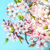 cherry blossom clear plastic large stickers pack on a blue background