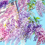 pack of 20 large wisteria clear plastic stickers on a blue background