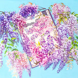 wisteria flowers stickers pack on a blue and cream background