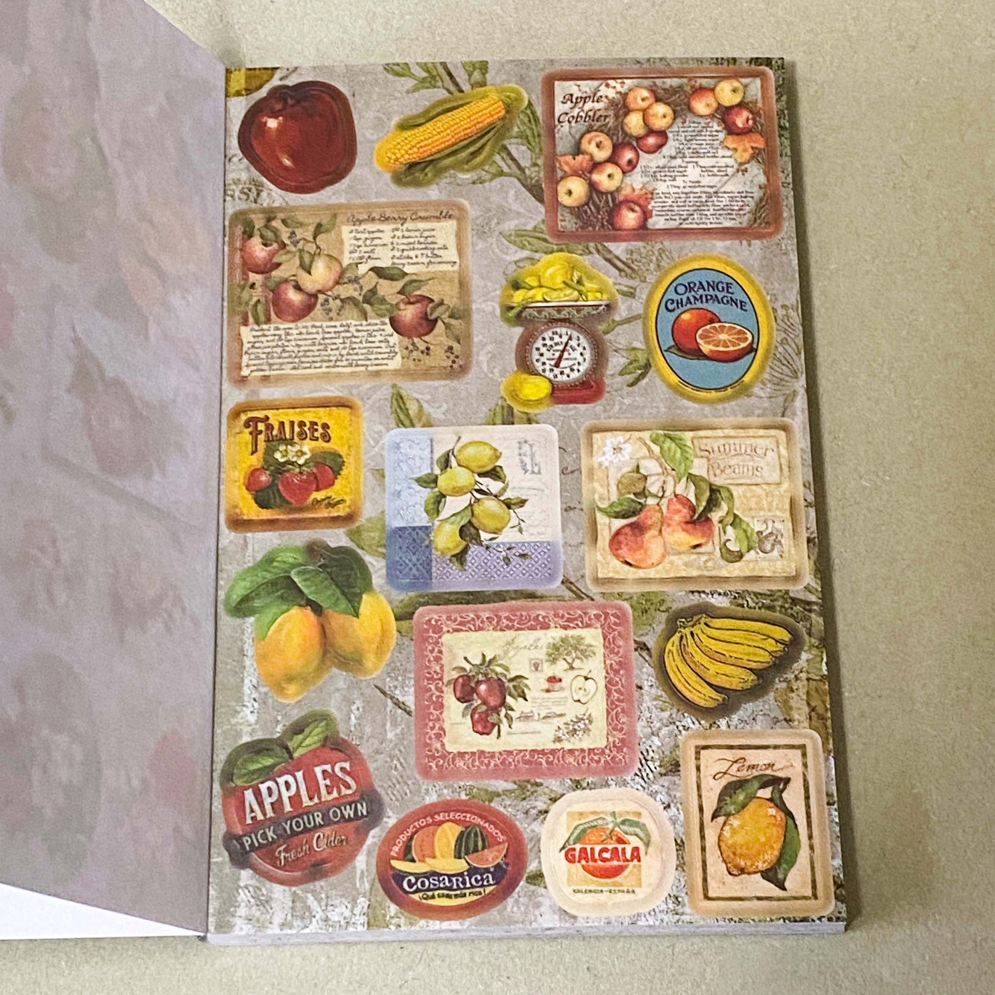 vintage old carnival tour sticker book featuring botanical roses, mushrooms, woodland animals, antique ephemera, correspondence stickers, fruit labels, Parisian motifs and cottage garden illustrations. Book of 30 pages of matte paper stickers.