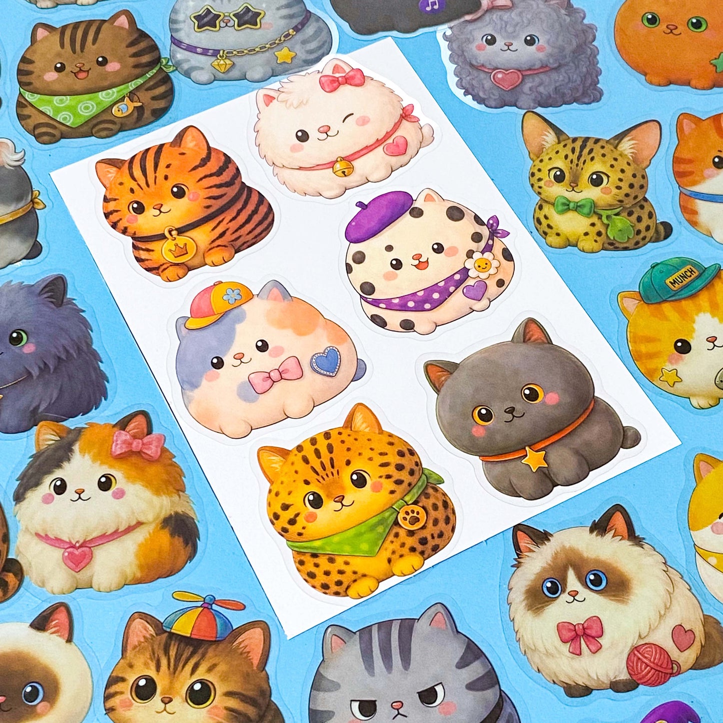 pack of 50 chubby fat cat PET stickers with fluffy kawaii cats in a variety of colours and breeds, approximately 52mm. Uk stationery shop.