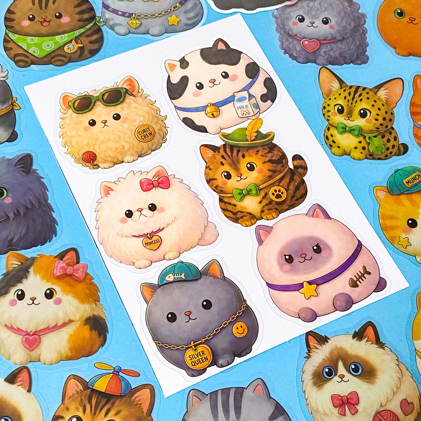 pack of 50 chubby fat cat PET stickers with fluffy kawaii cats in a variety of colours and breeds, approximately 52mm. Uk stationery shop.