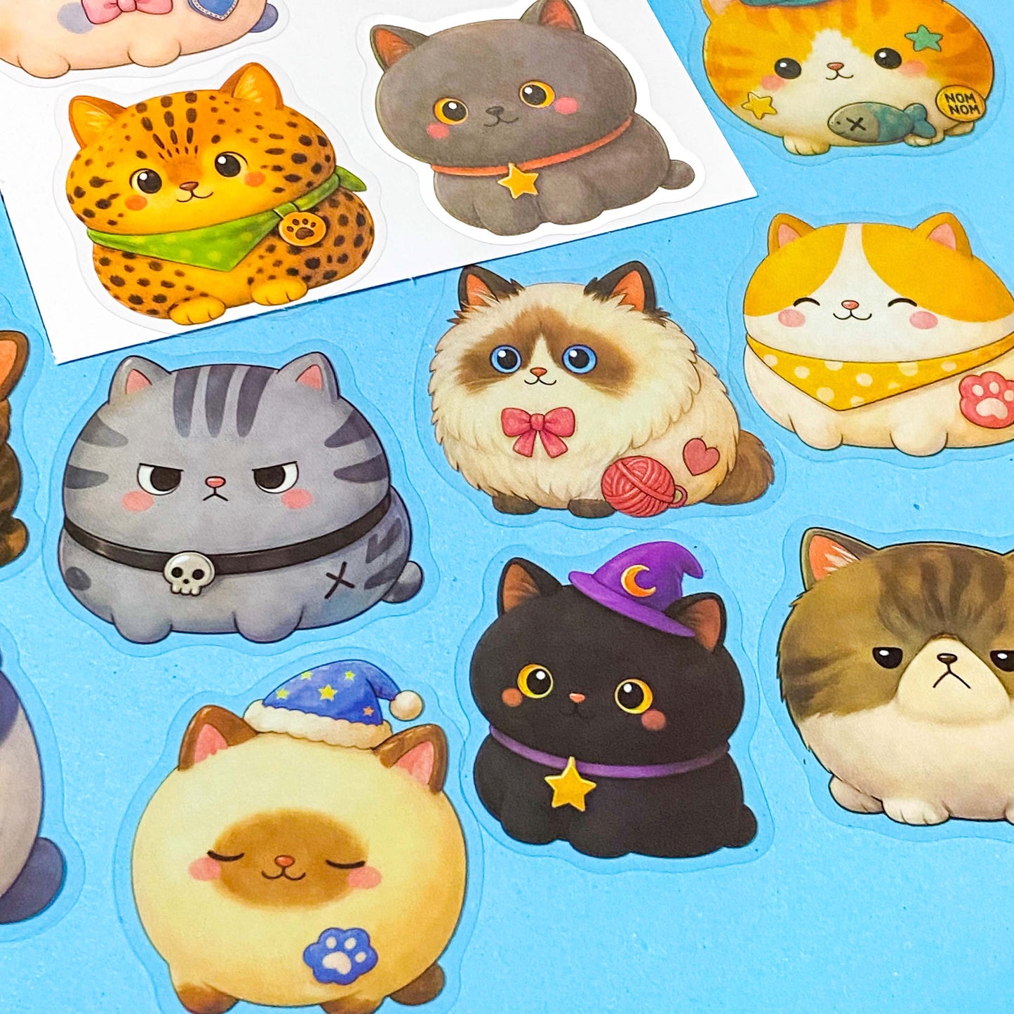 pack of 50 chubby fat cat PET stickers with fluffy kawaii cats in a variety of colours and breeds, approximately 52mm. Uk stationery shop.