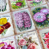 seed seeds catalogue vintage retro victorian old nostalgic flower flowers floral postcard postcards card cards greetings birthday happy uk cute kawaii pretty pink purple individual stationery shop store envelopes stickers seal seals tulip tulips hyacinth hyacinths rose roses