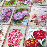 seed seeds catalogue vintage retro victorian old nostalgic flower flowers floral postcard postcards card cards greetings birthday happy uk cute kawaii pretty pink purple individual stationery shop store envelopes stickers seal seals tulip tulips hyacinth hyacinths rose roses