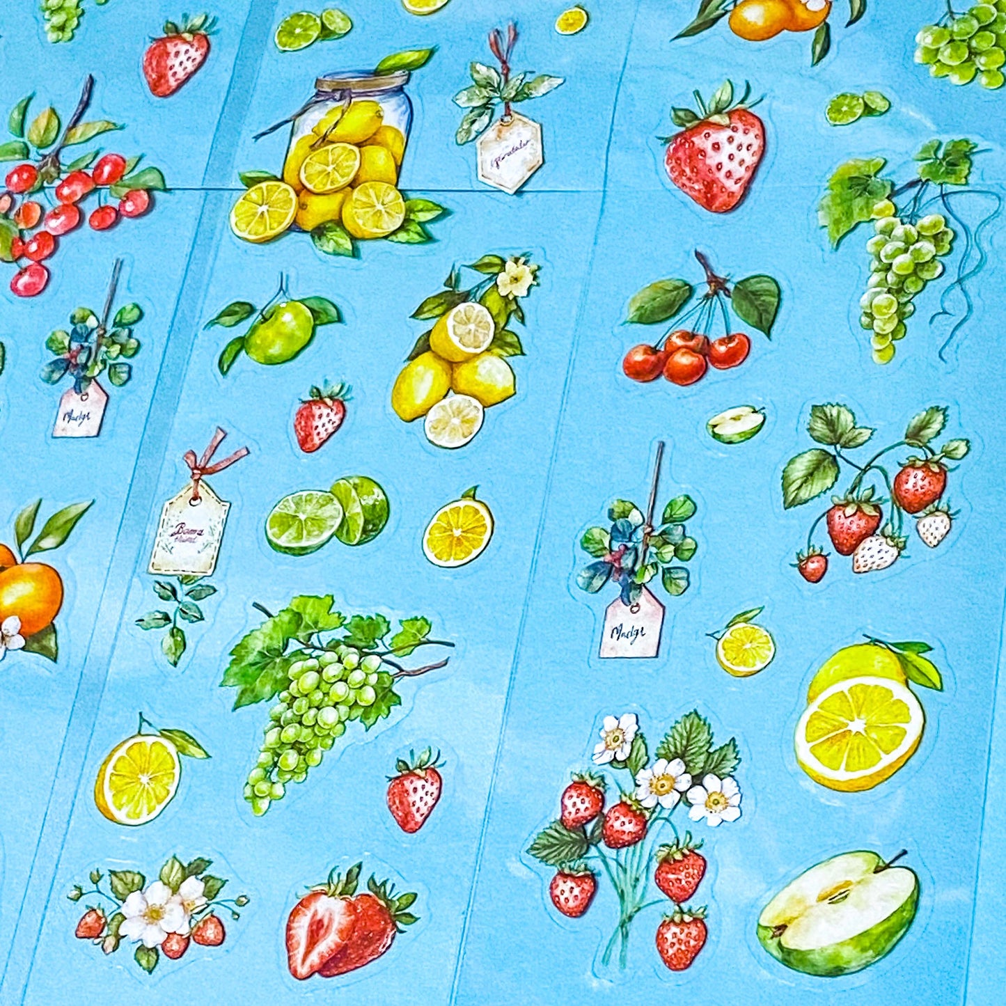 Botanical FRUIT Clear Sticker Sheets- 6 Sheet Set | Strawberry, Lemon, Apple, Cherry