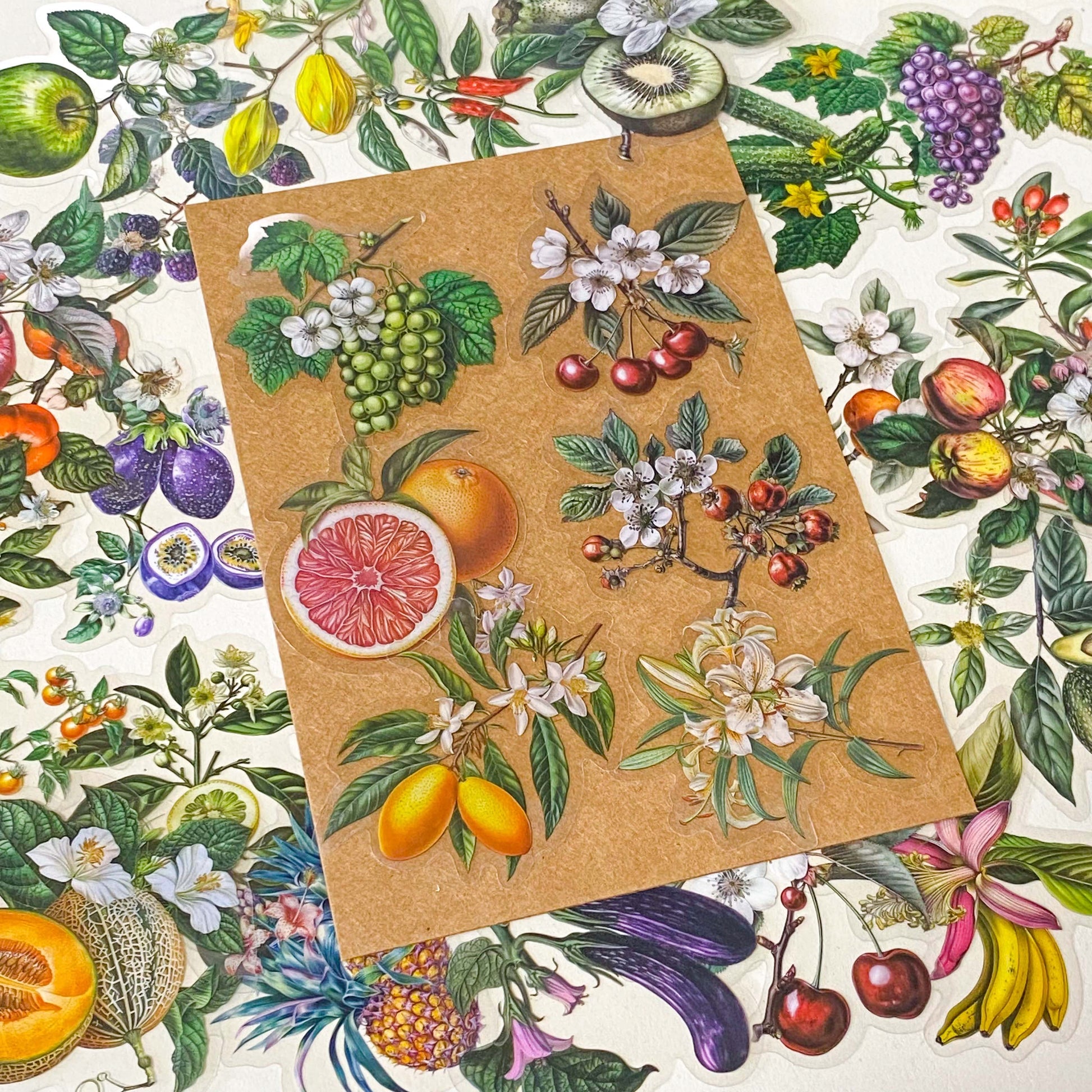 vintage botanical fruit and flower clear large stickers set on neutral background with kraft paper styling