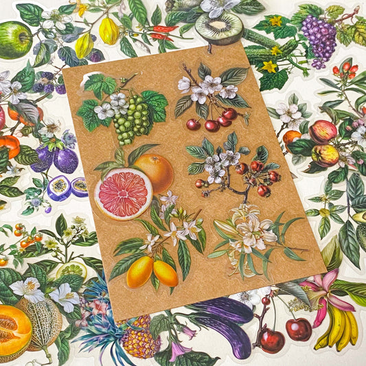vintage botanical fruit and flower clear large stickers set on neutral background with kraft paper styling