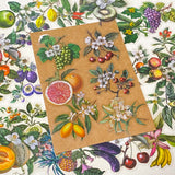 vintage botanical fruit and flower clear large stickers set on neutral background with kraft paper styling