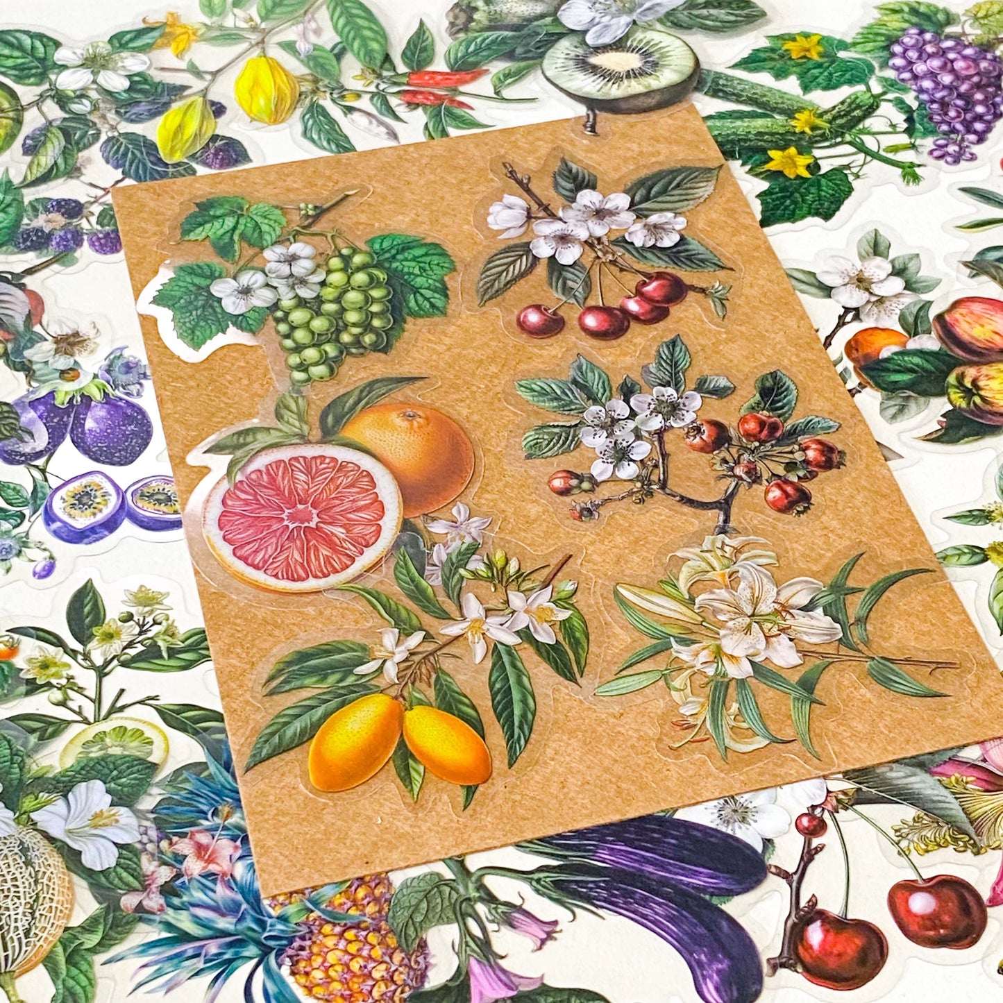 vintage botanical fruit and flower clear large stickers set on neutral background with kraft paper styling