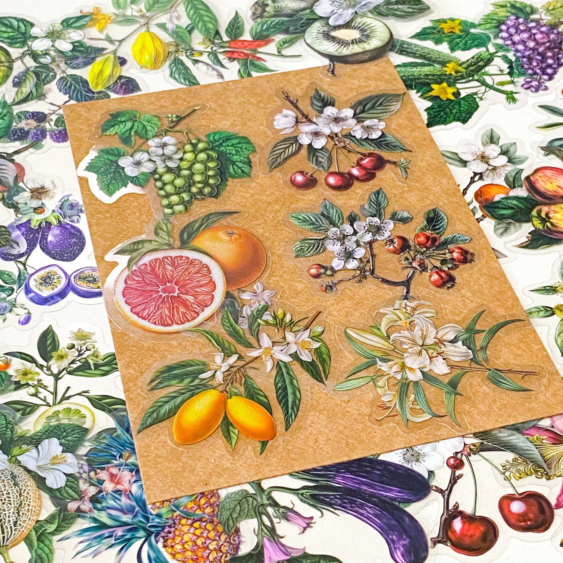 vintage botanical fruit and flower clear large stickers set on neutral background with kraft paper styling