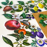 vintage botanical fruit and flower clear large stickers set on neutral background 