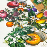 vintage botanical fruit and flower clear large stickers set on neutral background 