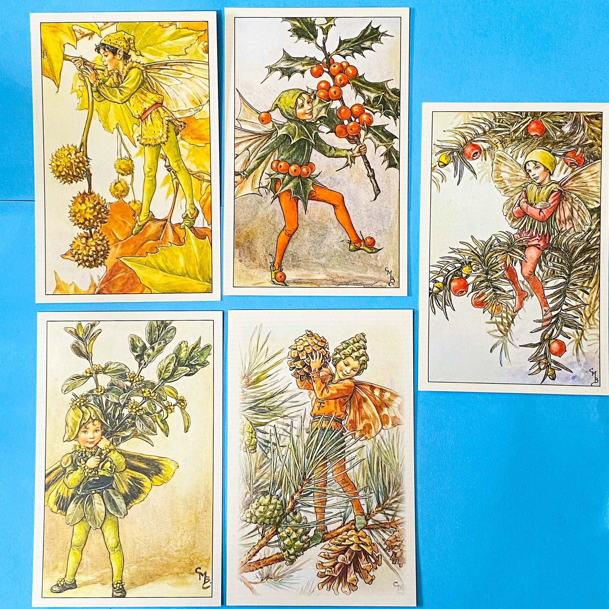 flower fairies pack of 5 vintage botanical postcards with trees and shrubs including box, yew, plane, holly and pine. Nostalgic book covers set with kraft belly band and wax seal sticker. uk letterbox gifts