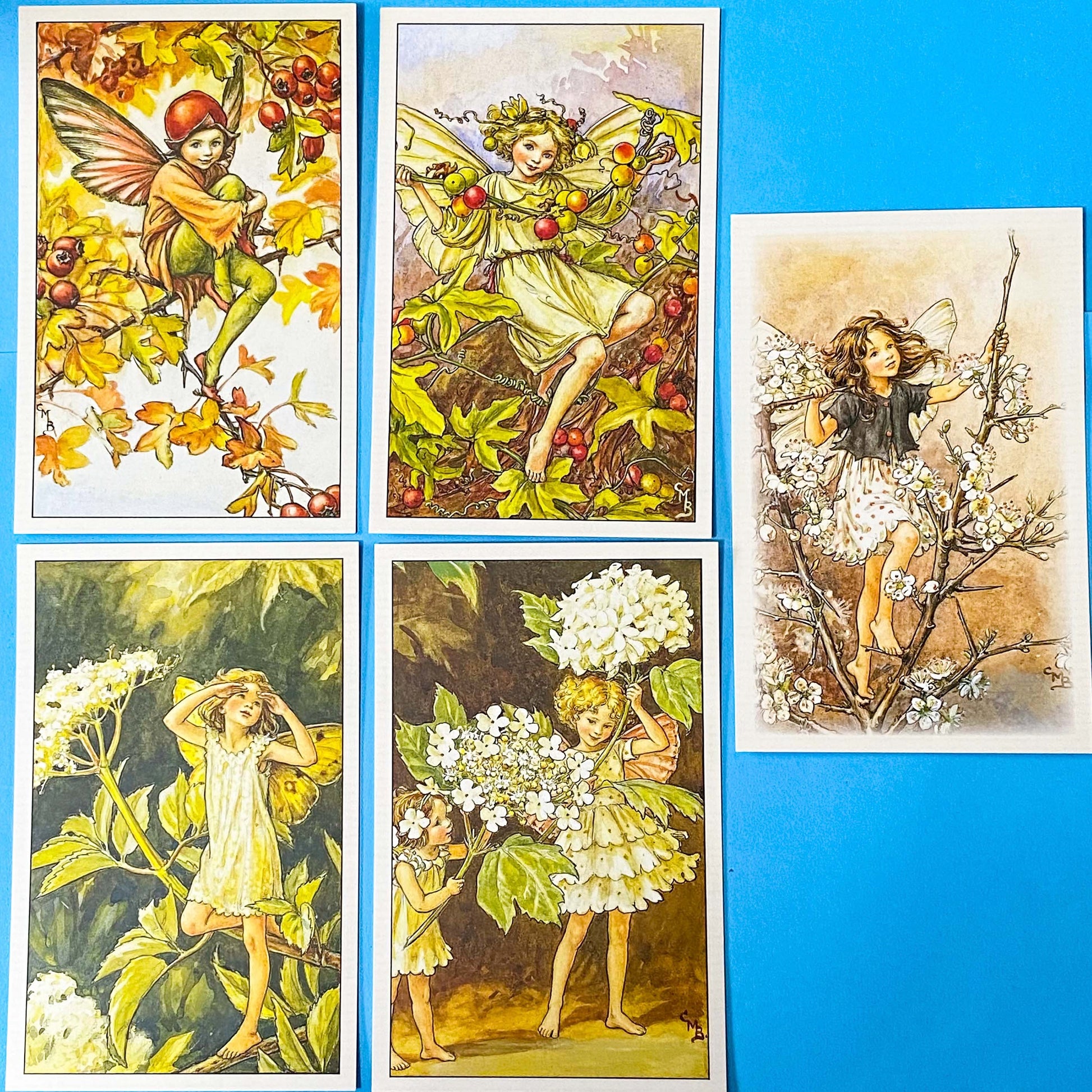 set of 5 flower fairy postcards with vintage illustrations by cecily may barker including hawthorn, bryony, guelder rose and elder. Uk letterbox gifts. Packed in kraft belly band with wax seal sticker as a present or pen pal treat.