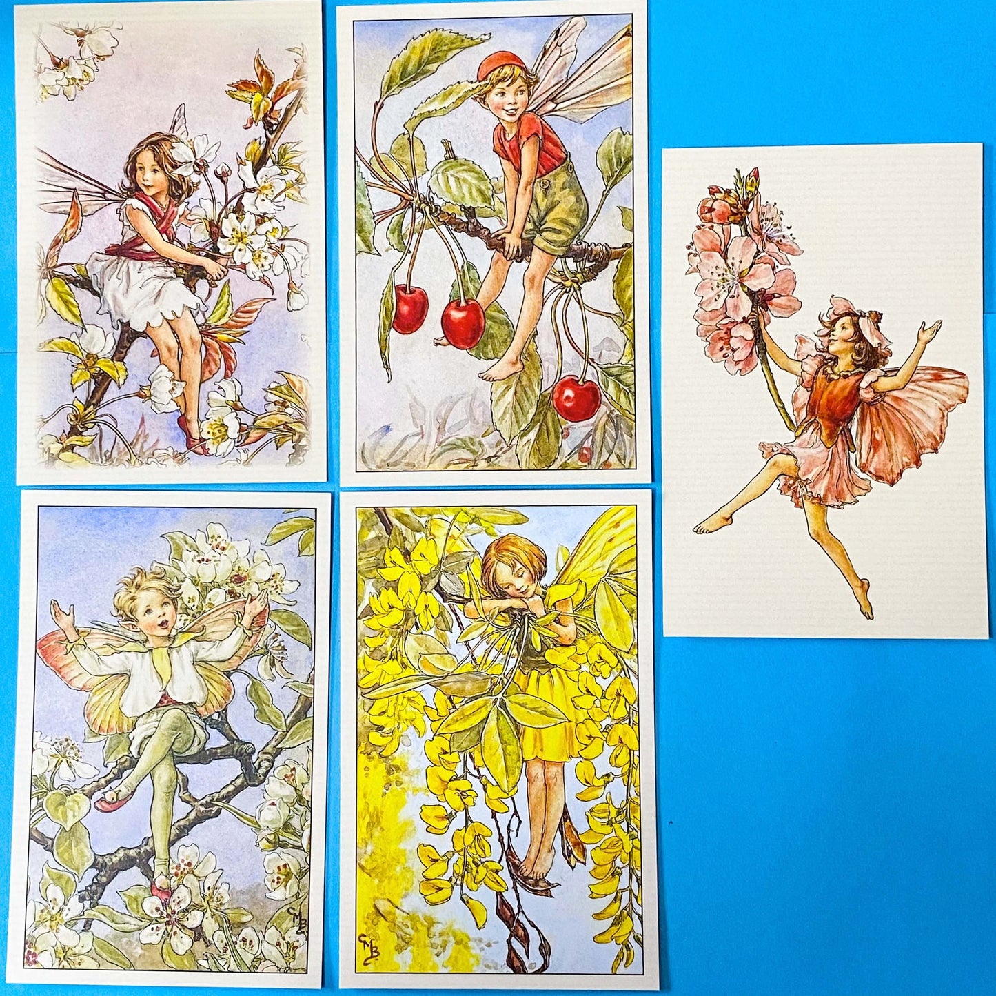 vintage flower fairy postcards with Spring blossoms including cherry tree, pear, laburnum and almond flowers. Presented in kraft belly band with wax seal sticker so makes beautiful uk letterbox gift.