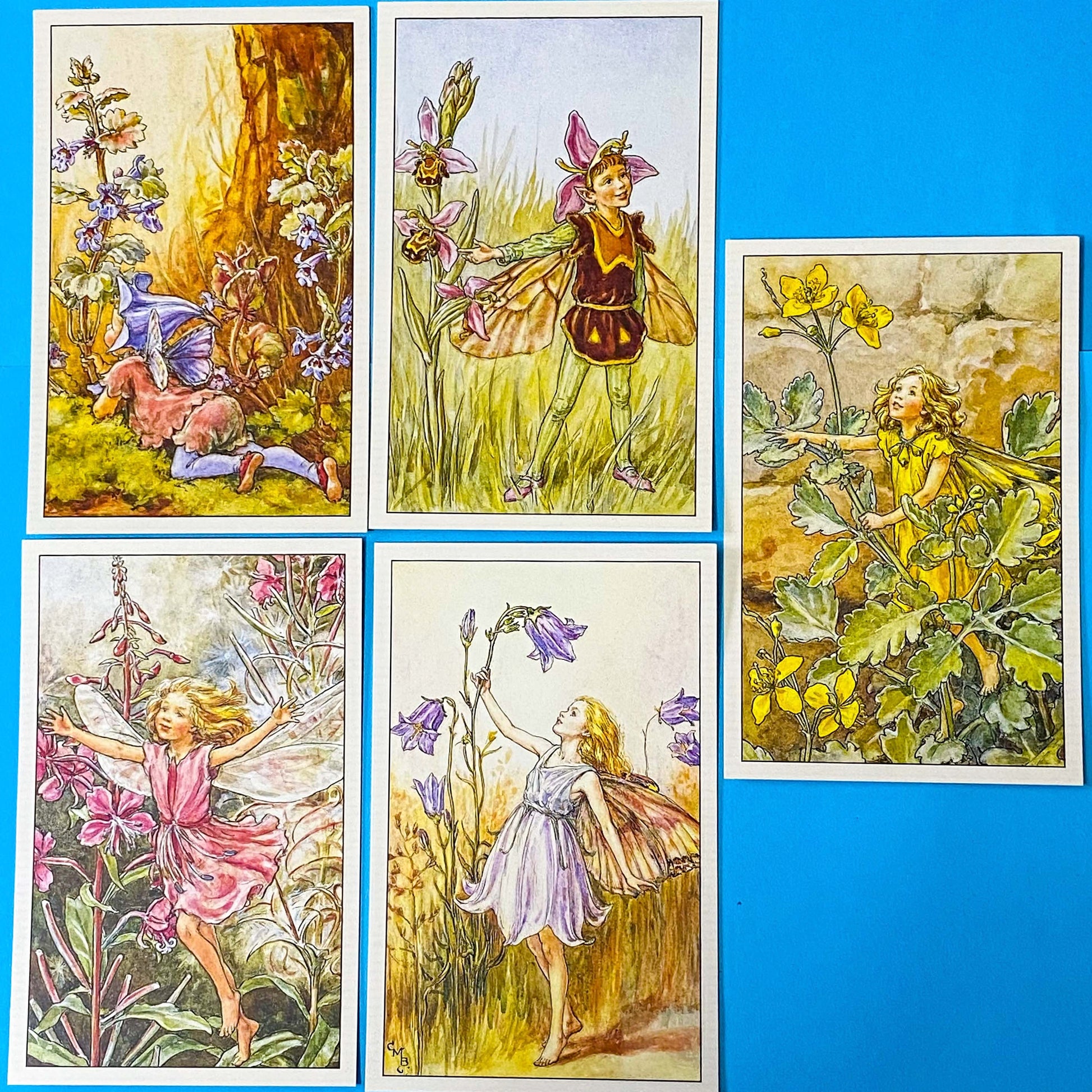 cecily may barker flower fairies postcard set of 5 with vintage wild flowers illustrations including rosebay willow herb, ground ivy and celandine. Pretty letterbox gift set from the Uk. Packaged with a kraft belly band and wax seal stickers. 