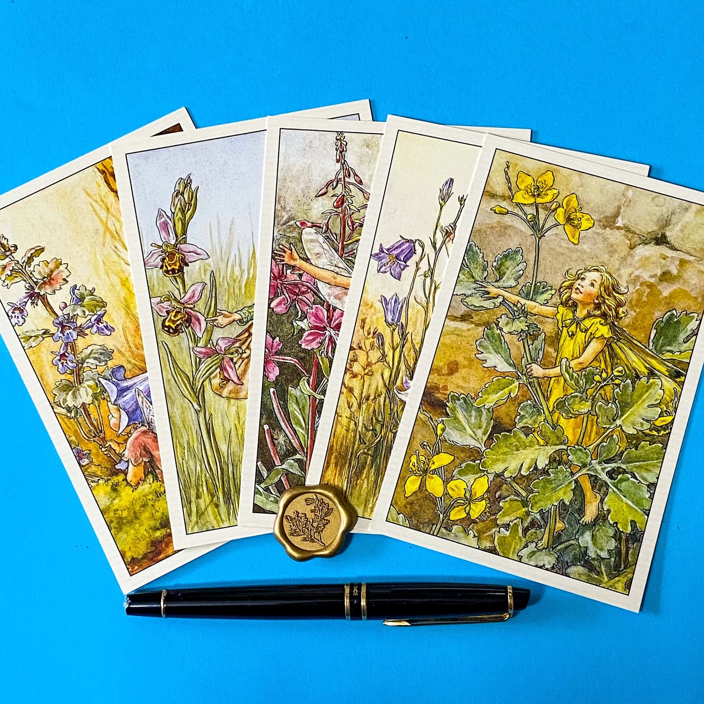 cecily may barker flower fairies postcard set of 5 with vintage wild flowers illustrations including rosebay willow herb, ground ivy and celandine. Pretty letterbox gift set from the Uk. Packaged with a kraft belly band and wax seal stickers. 