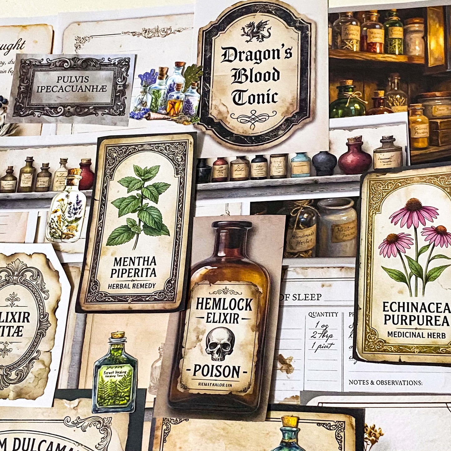 botanical and poison labels ephemera pack with vintage apothecary paper pieces flat lay showing 25 piece set for journaling and scrapbooking